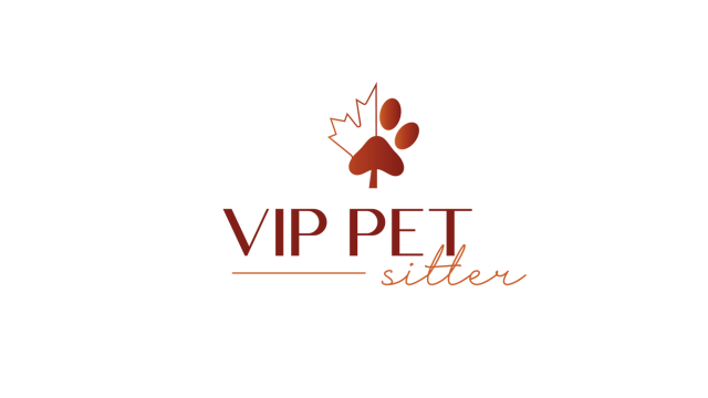 Copia-de-DS-_-Base-banner-640x360px-20